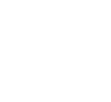 Well-established Moscow developer
